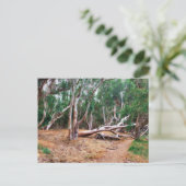 Bomen Briefkaart (Staand voorkant)