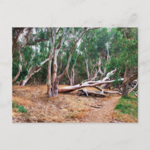 Bomen Briefkaart