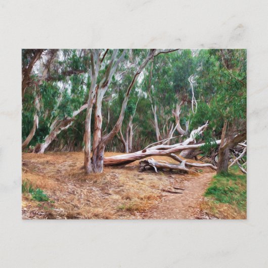 Bomen Briefkaart (Voorkant)
