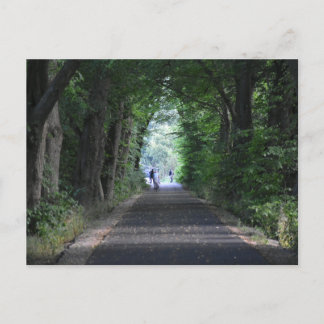 Bomen Briefkaart