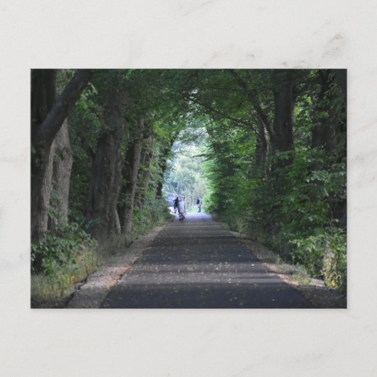 Bomen Briefkaart (Voorkant)