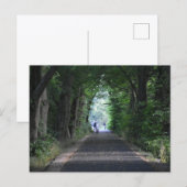 Bomen Briefkaart (Voorkant / Achterkant)