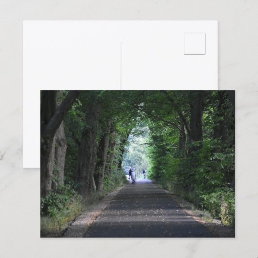 Bomen Briefkaart (Voorkant / Achterkant)