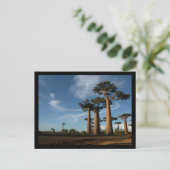 BOMEN BRIEFKAART (Staand voorkant)