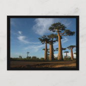 BOMEN BRIEFKAART (Voorkant)