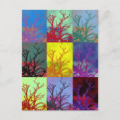 BOMEN BRIEFKAART (Voorkant)