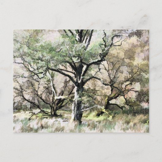 BOMEN BRIEFKAART (Voorkant)