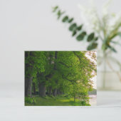 Bomen Briefkaart (Staand voorkant)