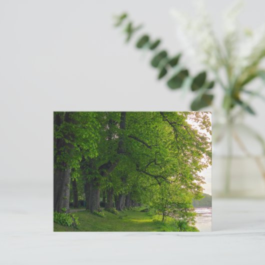 Bomen Briefkaart (Staand voorkant)