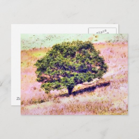 BOMEN BRIEFKAART (Voorkant / Achterkant)