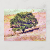 BOMEN BRIEFKAART (Voorkant)