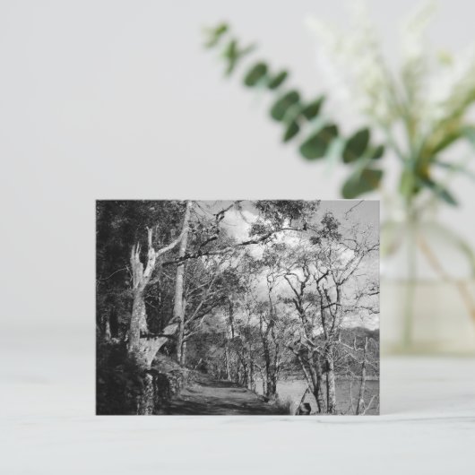 BOMEN BRIEFKAART (Staand voorkant)