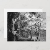 BOMEN BRIEFKAART (Voorkant / Achterkant)