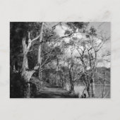 BOMEN BRIEFKAART (Voorkant)