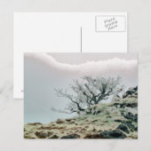 BOMEN BRIEFKAART (Voorkant / Achterkant)