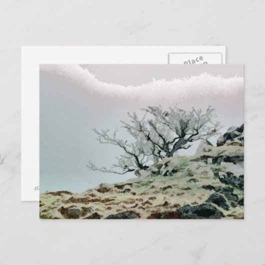 BOMEN BRIEFKAART (Voorkant / Achterkant)