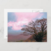 BOMEN BRIEFKAART (Voorkant / Achterkant)