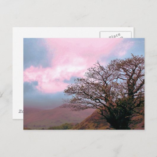 BOMEN BRIEFKAART (Voorkant / Achterkant)