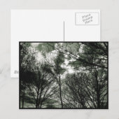 Bomen | BRIEFKAART (Voorkant / Achterkant)