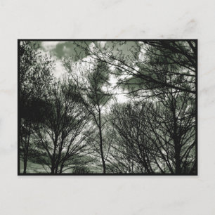 Bomen   BRIEFKAART
