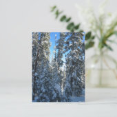 Bomen Briefkaart (Staand voorkant)