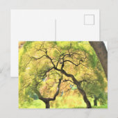 bomen briefkaart (Voorkant / Achterkant)