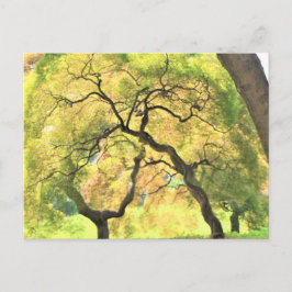 bomen briefkaart