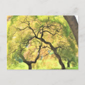 bomen briefkaart (Voorkant)