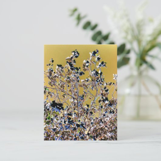 BOMEN BRIEFKAART (Staand voorkant)