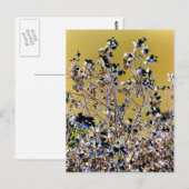 BOMEN BRIEFKAART (Voorkant / Achterkant)