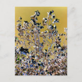 BOMEN BRIEFKAART (Voorkant)