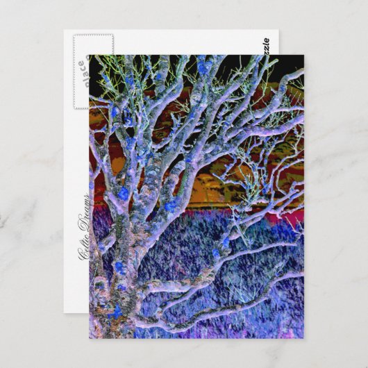 BOMEN BRIEFKAART (Voorkant / Achterkant)