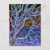 BOMEN BRIEFKAART (Voorkant)