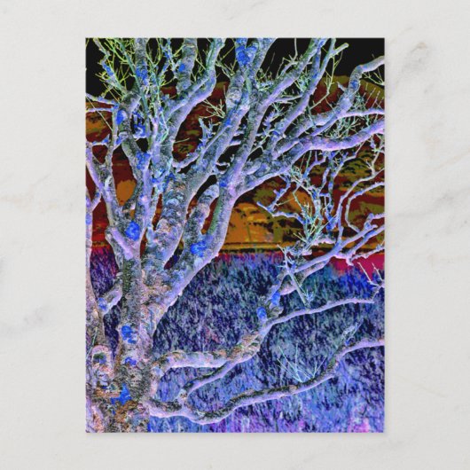 BOMEN BRIEFKAART (Voorkant)