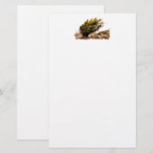 BOMEN BRIEFPAPIER (Voorkant / Achterkant)