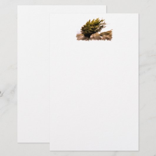 BOMEN BRIEFPAPIER (Voorkant / Achterkant)