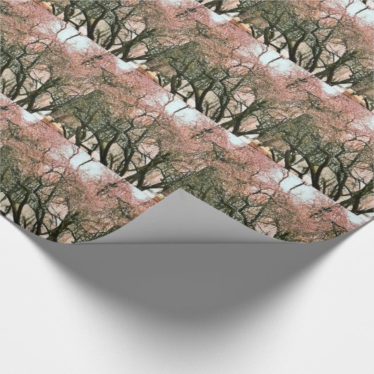 BOMEN CADEAUPAPIER (Hoek)