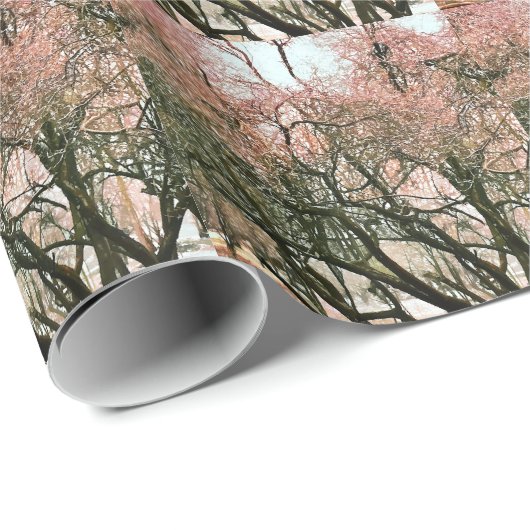 BOMEN CADEAUPAPIER (Rol Hoek)