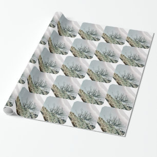 BOMEN CADEAUPAPIER