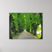 Bomen Canvas Afdruk (Voorkant)