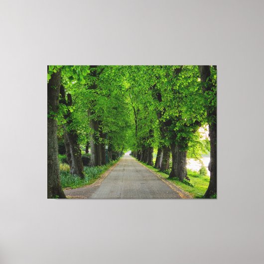 Bomen Canvas Afdruk (Voorkant)