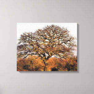 BOMEN CANVAS AFDRUK