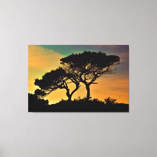 Bomen Canvas Afdruk (Voorkant)