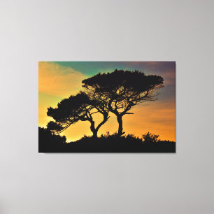 Bomen Canvas Afdruk