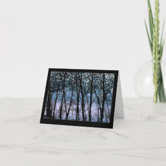 Bomen & de Fonkelingen van de Zon Kaart