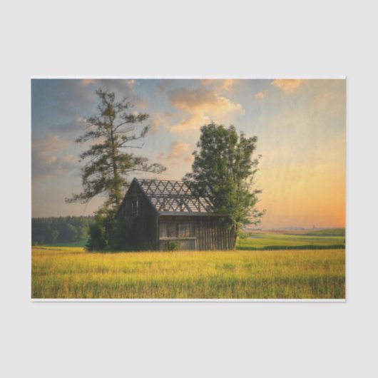 Bomen die een halve afgemaakte schuur beschermen tissuepapier (Voorkant)