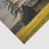 Bomen die een halve afgemaakte schuur beschermen tissuepapier (Detail)