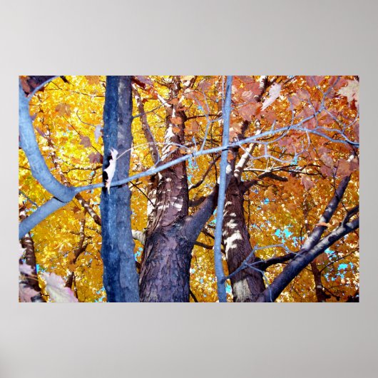 Bomen die herfstolling van bomen vormen poster (Voorkant)