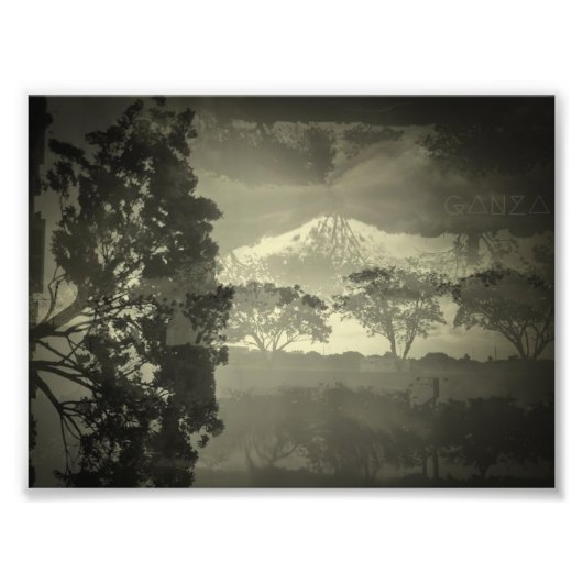 Bomen die ik zie. foto afdruk (Voorkant)