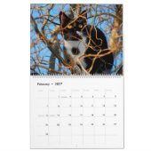 Bomen die Katten kat en kittens klimmen in 2021 Kalender (Feb 2027)